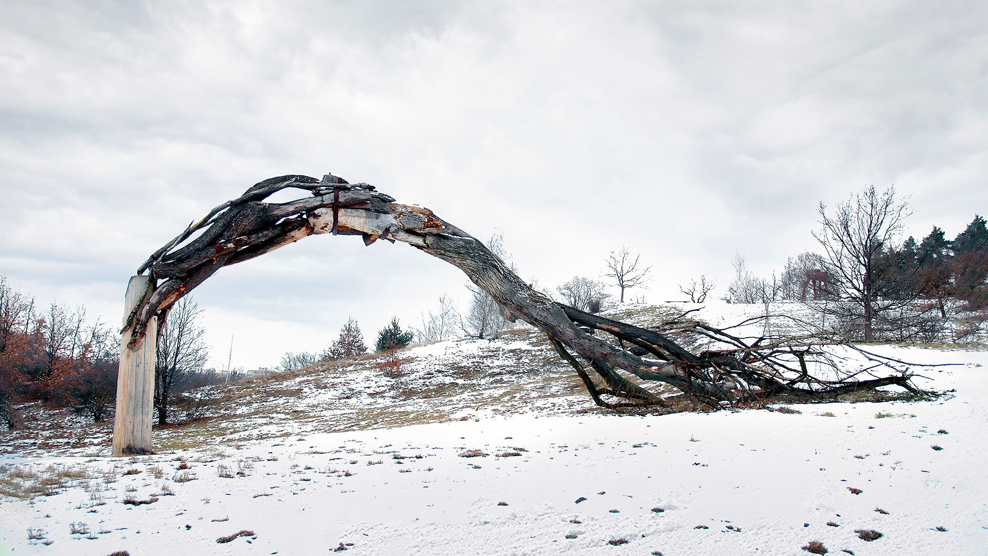 Monumental wooden site-specific sculpture: Withered tree amidst snowy slope. Artwork symbolizes human impact on nature's destruction.