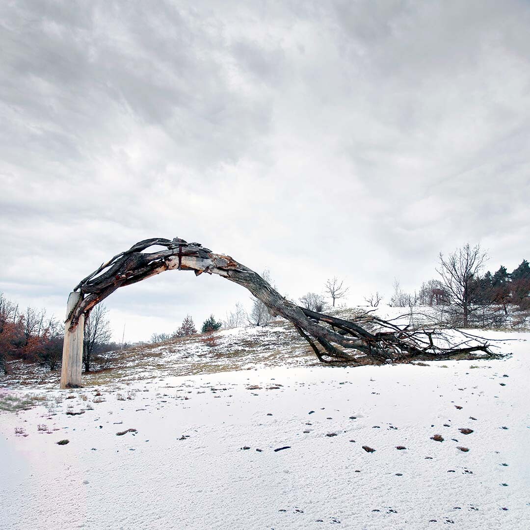 Site-specific monumental wooden sculpture Fade Tree: Withered tree amidst snowy slope. Artwork symbolizes human impact on nature's destruction.