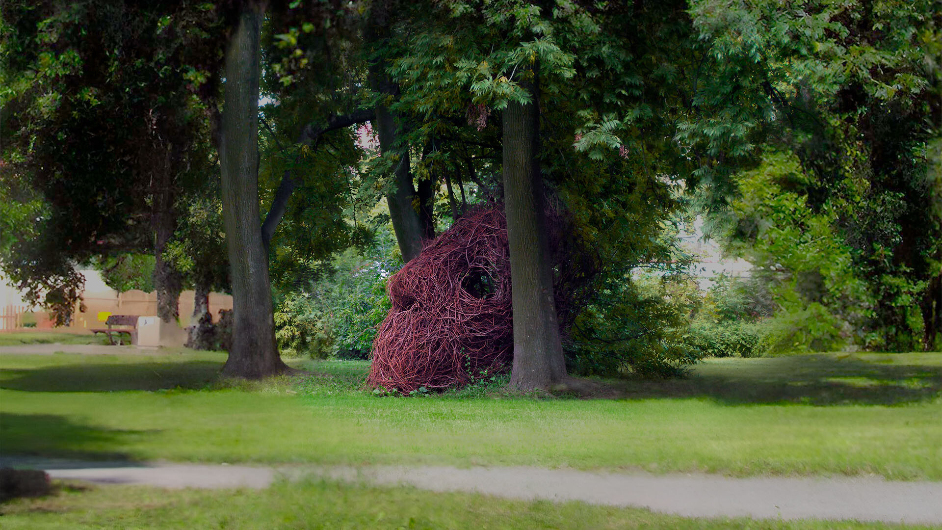 Head, 2010 Head, 2010 — site-specific installation by Daniel Paul of a large human head-shaped structure woven from branches between trees