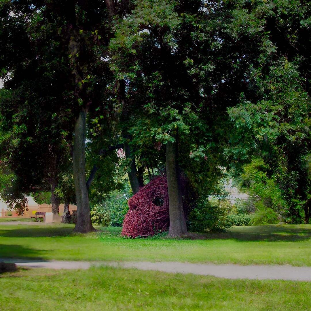Head, 2010 Head, 2010 — site-specific installation by Daniel Paul of a large human head-shaped structure woven from branches between trees