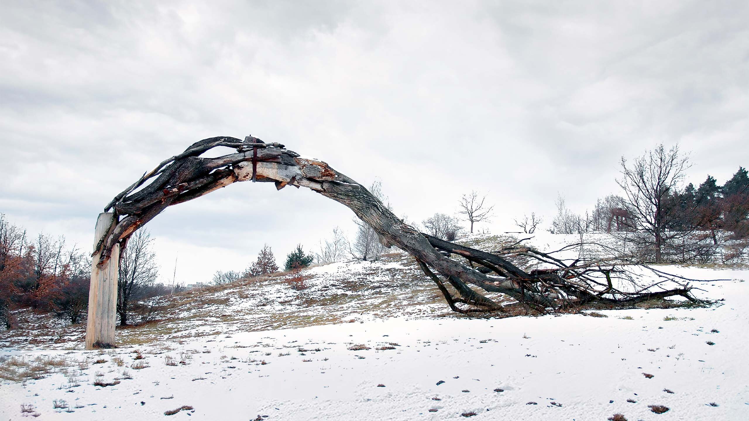 Monumental wooden sculpture: Withered tree amidst snowy slope. Artwork symbolizes human impact on nature's destruction