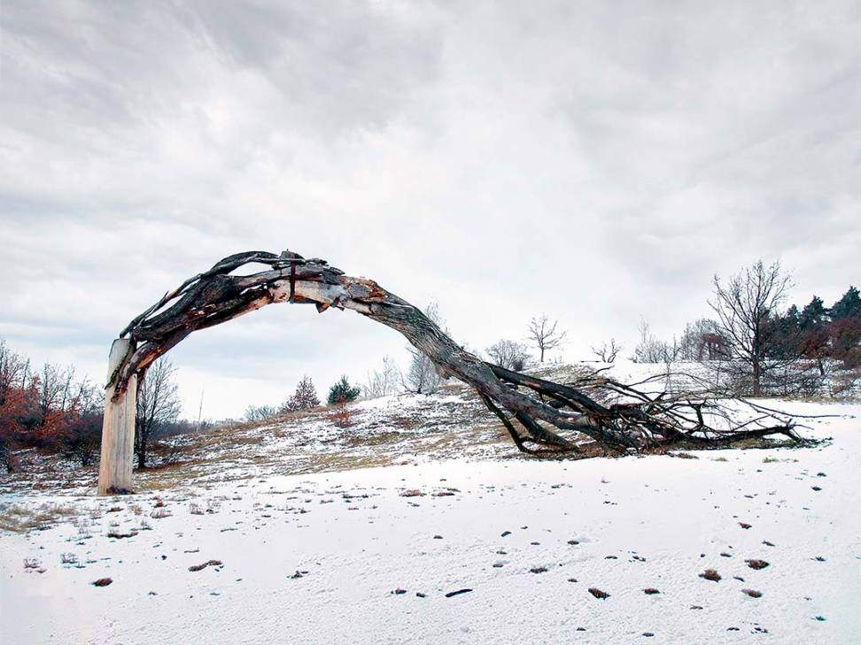 Fade Tree, 2007 — site-specific installation by Daniel Paul of a large arched dead tree structure in a snowy landscape